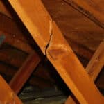 Armada Inspection Services - Broken Roof Truss Web