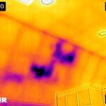 Armada Inspection Services Fees - Rodent Nest in Wall